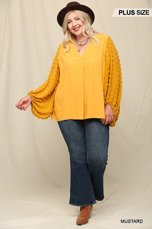 Woven And Textured Chiffon Top With Voluminous Sheer Sleeves